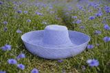 Raffia Curve Brim Hat Large Brim in Light Cornflower Blue Madagascan
