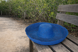 Raffia Curve Brim Hat Large Brim in Honolulu Blue Madagascan