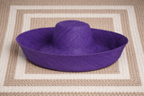 Raffia Curve Brim Hat Large Brim in Indigo Madagascan
