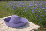 Raffia Curve Brim Hat Large Brim in Deep Cornflower Madagascan