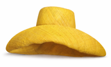 Raffia Curve Brim Hat Standard Brim in Yellow Madagascan