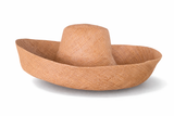 Raffia Curve Brim Hat Large Brim in Boutique Beige Madagascan