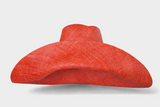 Raffia Curve Brim Hat Large Brim in Burnt Orange Madagascan