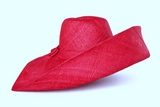 Raffia Curve Brim Hat Large Brim in Cardinal Red Madagascan