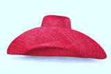 Raffia Curve Brim Hat Large Brim in Cardinal Red Madagascan