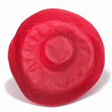 Raffia Curve Brim Hat Large Brim in Cherry Red Madagascan