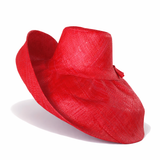 Raffia Curve Brim Hat Large Brim in Cherry Red Madagascan