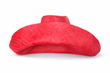 Raffia Curve Brim Hat Large Brim in Cherry Red Madagascan