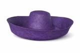 Raffia Curve Brim Hat Large Brim in Dark Indigo Madagascan