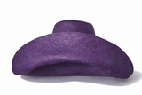 Raffia Curve Brim Hat Large Brim in Dark Indigo Madagascan