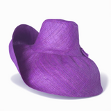 Raffia Curve Brim Hat Large Brim in Dark Iris Madagascan