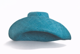Raffia Curve Brim Hat Large Brim in Dark Peacock Blue Madagascan