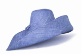 Raffia Curve Brim Hat Large Brim in Denim Blue Madagascan