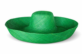Raffia Curve Brim Hat Large Brim in Emerald Green Madagascan