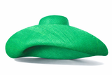 Raffia Curve Brim Hat Large Brim in Emerald Green Madagascan