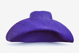 Raffia Curve Brim Hat Large Brim in Indigo Madagascan