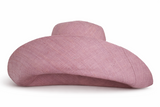 Raffia Curve Brim Hat Large Brim in Languid Lavender Madagascan