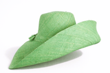 Raffia Curve Brim Hat Large Brim in Pastel Green Madagascan