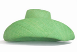 Raffia Curve Brim Hat Large Brim in Pastel Green Madagascan