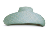 Raffia Curve Brim Hat Large Brim in Robin Egg Blue Madagascan
