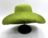 Raffia Curve Brim Hat Standard Brim in Apple Green Madagascan