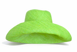 Raffia Curve Brim Hat Standard Brim in Apple Green Madagascan