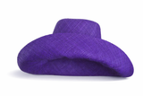 Raffia Curve Brim Hat Standard Brim in Indigo Purple Madagascan