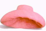 Raffia Curve Brim Hat Standard Brim in Melon Pink Madagascan