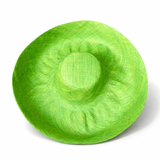 Raffia Curve Brim Hat Large Brim in Apple Green Madagascan