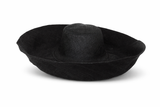 Raffia Curve Brim Hat Large Brim in Black Madagascan