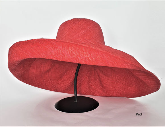Raffia Curve Brim Hat Large Brim in Red