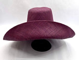 Raffia Curve Brim Hat Large Brim in Wine Madagascan