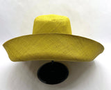 Raffia Curve Brim Hat Large Brim in Chartreuse Madagascan