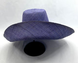 Raffia Curve Brim Hat Large Brim in Indigo Light Madagascan