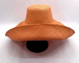 Raffia Curve Brim Hat Large Brim in Apricot Madagascan