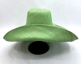 Raffia Curve Brim Hat Large Brim in Pastel Green Madagascan