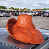 Raffia Curve Brim Hat Large Brim in Dark Rust Madagascan