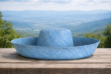 Raffia Curve Brim Hat Standard Brim in Denim Madagascan
