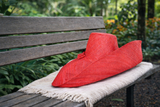 Raffia Curve Brim Hat Large Brim in Cherry Red Madagascan