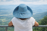 Raffia Curve Brim Hat Standard Brim in Denim Madagascan